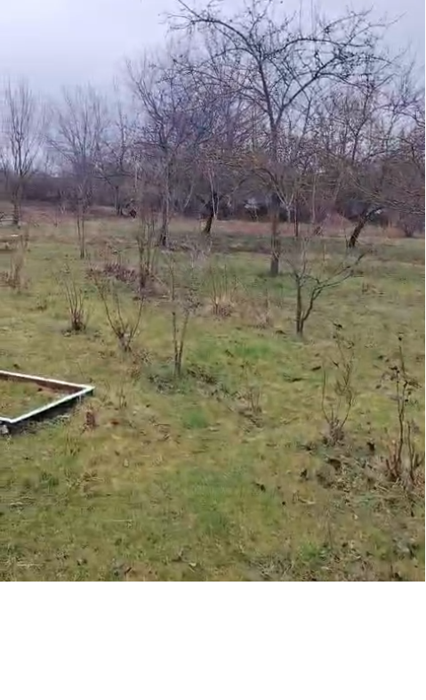 QƏBƏLƏ RAYONU, TÜNTÜL KƏNDİ