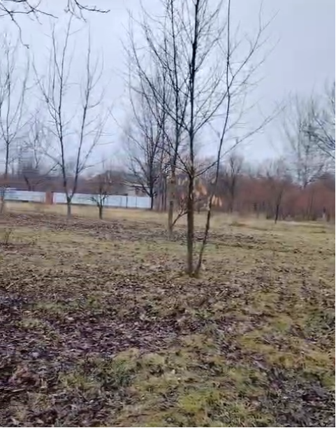 QƏBƏLƏ RAYONU, TÜNTÜL KƏNDİ