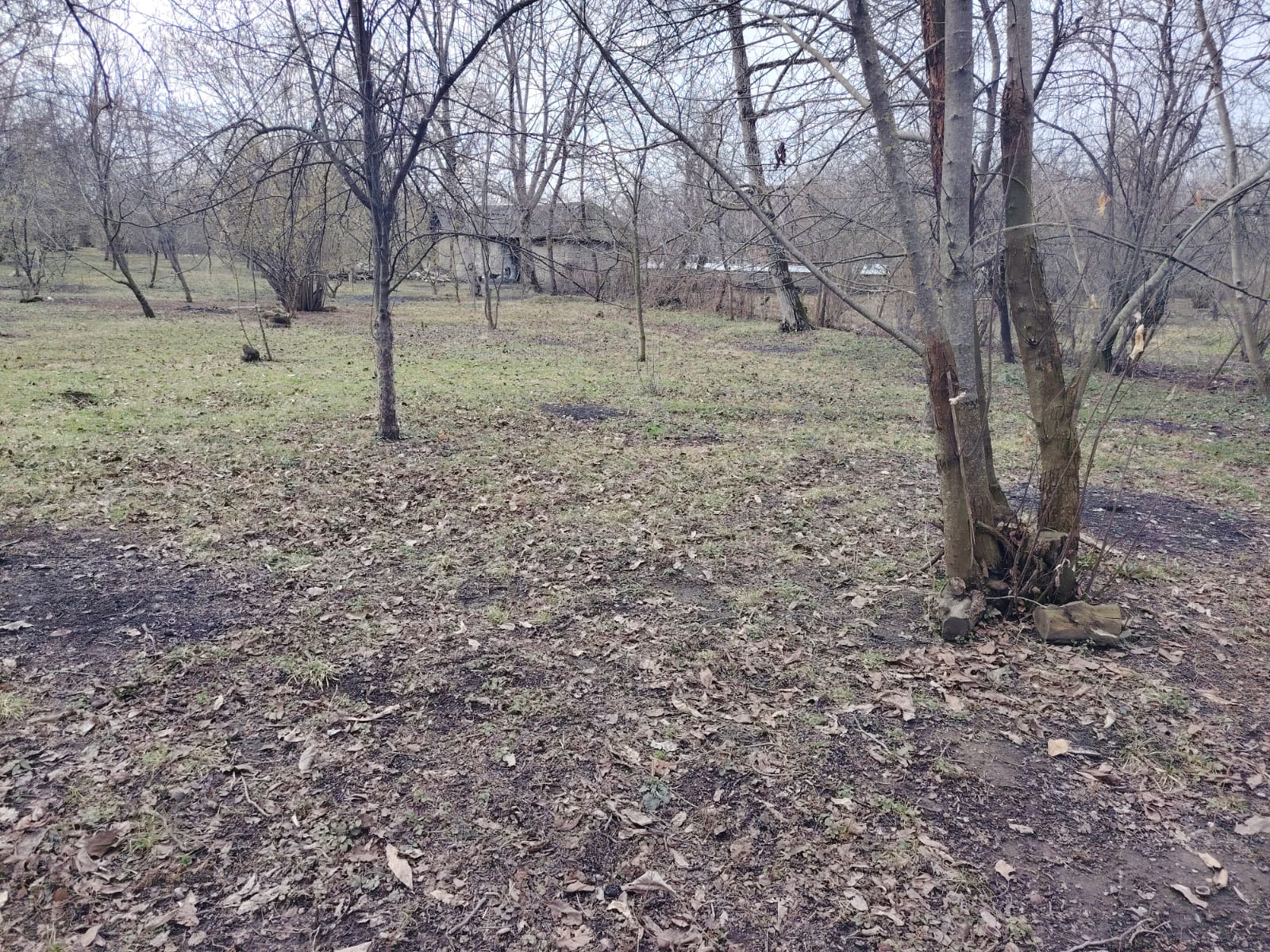 QƏBƏLƏ RAYONU, TÜNTÜL KƏNDİ