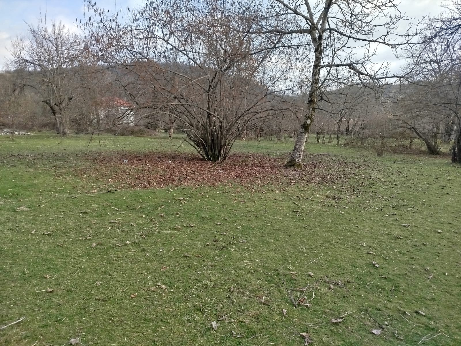 QƏBƏLƏ RAYONU, VƏNDAM QƏSƏBƏSİ