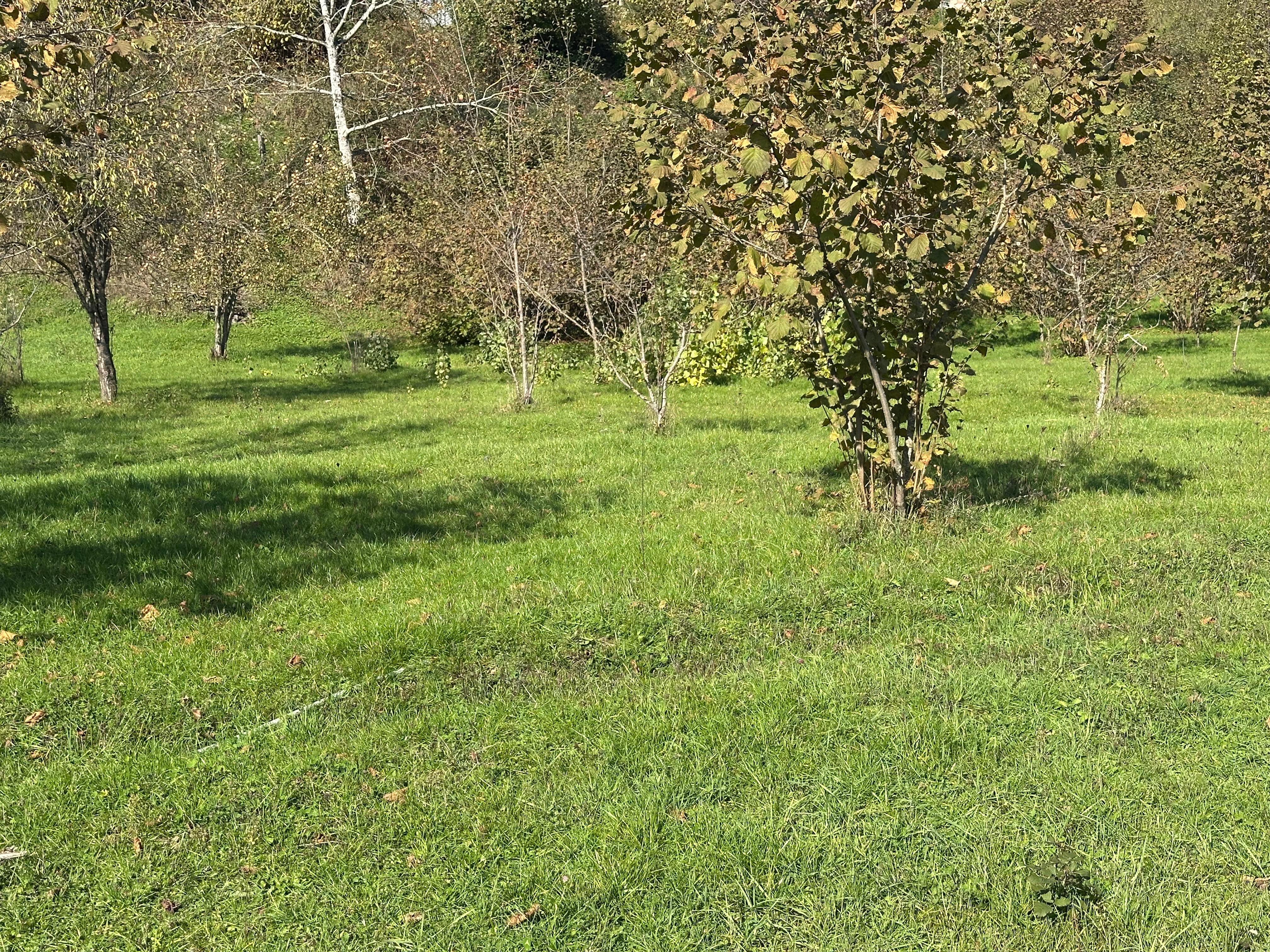 3  SOT AŞAĞI QİYMƏTLƏ TORPAQ SAHƏSİ SATILIR