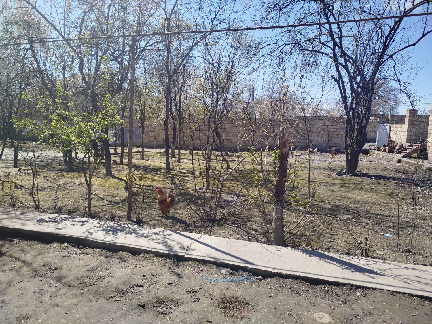 TÜNTÜL KƏNDİ 3500 MAN YOL KƏNARİ TORPAQ SAHƏSİ SATILIR