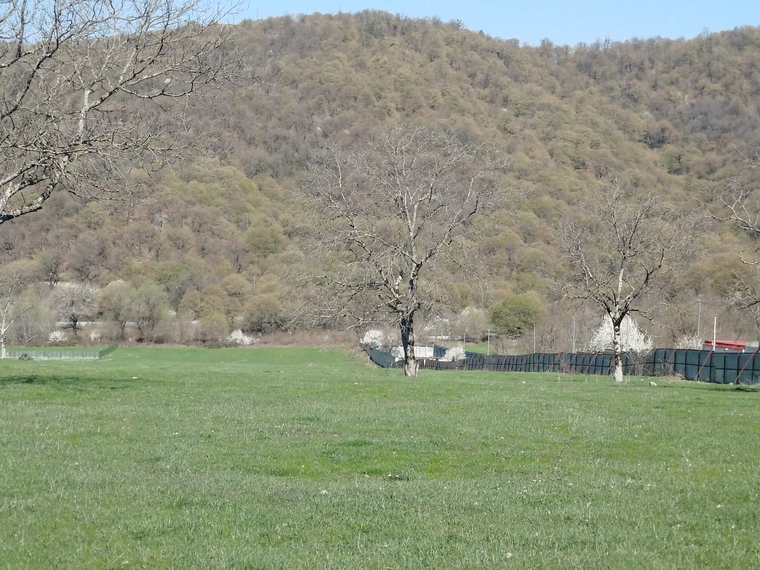 Pastarda 5+ sot. torpaq sahəsi satılır